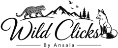 WildClicks Logo