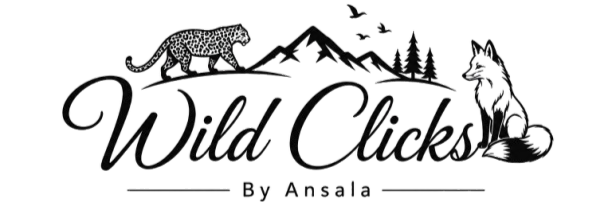 WildClicks Logo